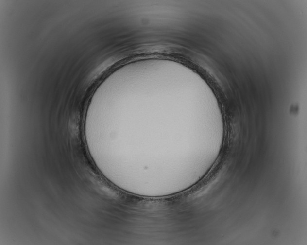 X0000089460778200707131947