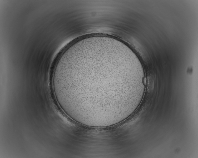 X0000089460780200707131947