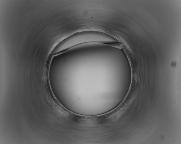 X0000089460781200707131947