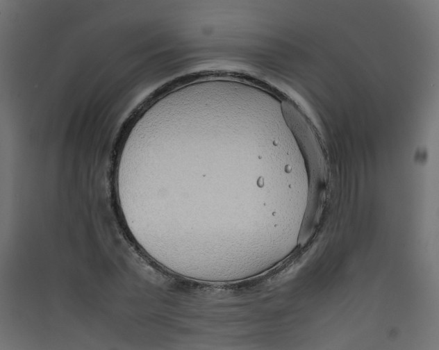 X0000089460783200707131947