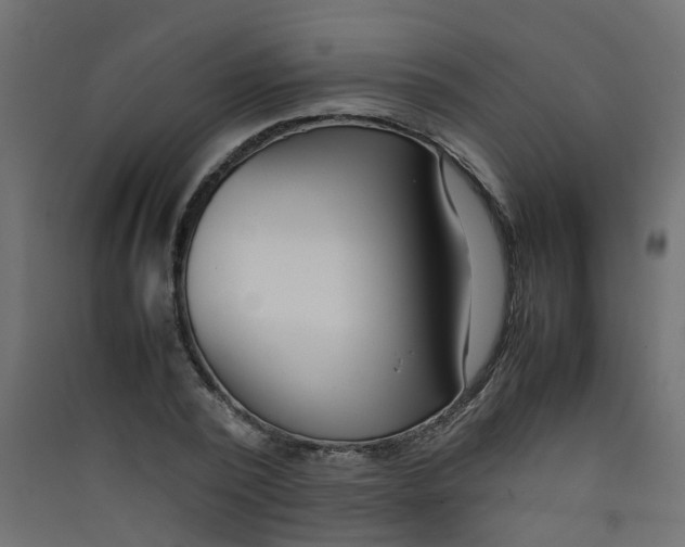 X0000089460784200707131947