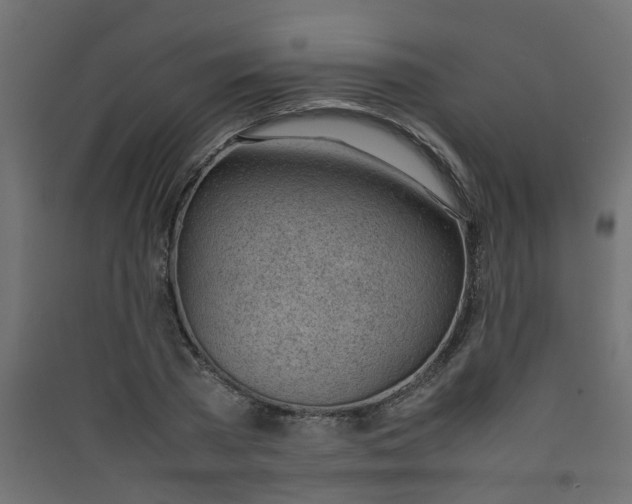 X0000089460785200707131947