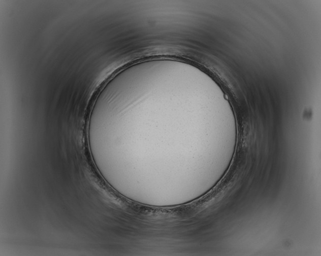 X0000089460786200707131947