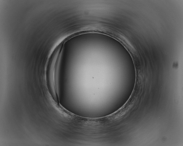 X0000089460788200707131947