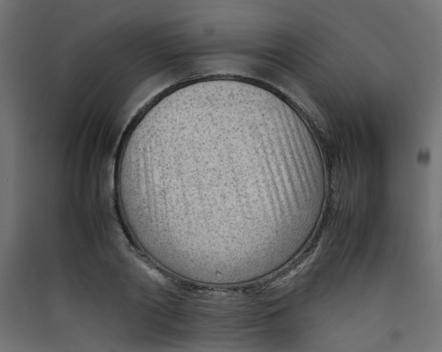 X0000089460790200707131947