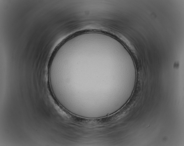 X0000089460791200707131947