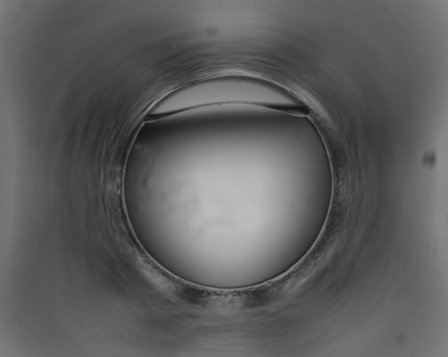 X0000089460793200707131947