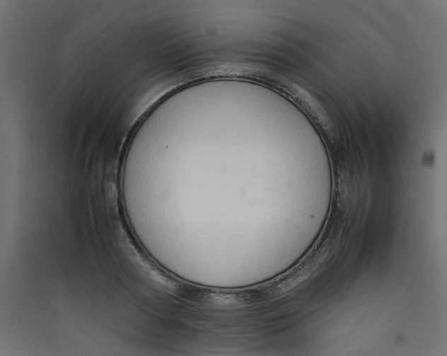 X0000089460794200707131947