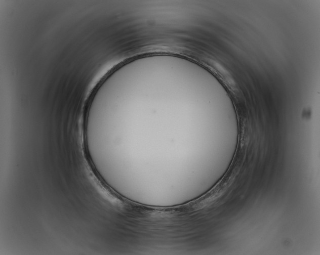 X0000089460796200707131947