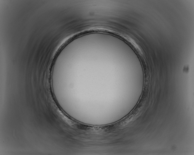 X0000089460799200707131947