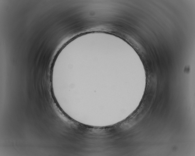 X0000089460800200707131947