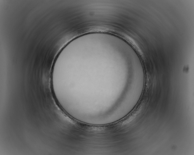 X0000089460802200707131947