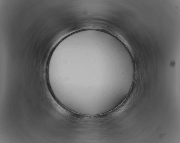 X0000089460803200707131947