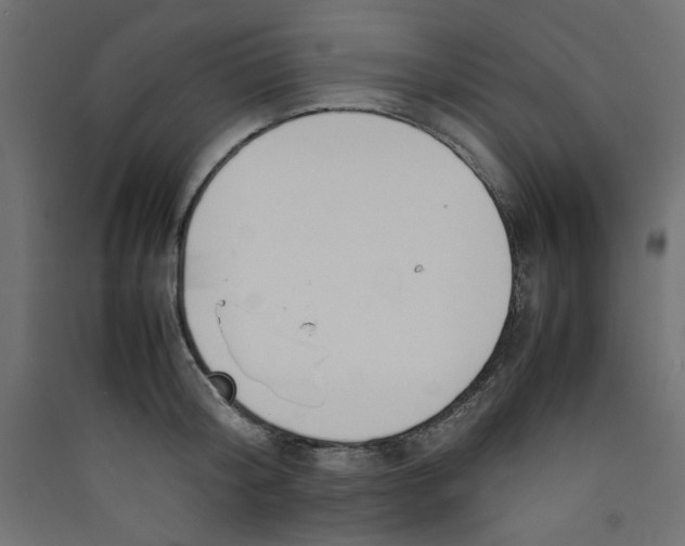 X0000089460804200707131947