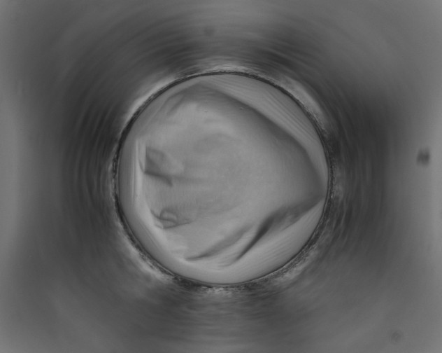 X0000089460806200707131947