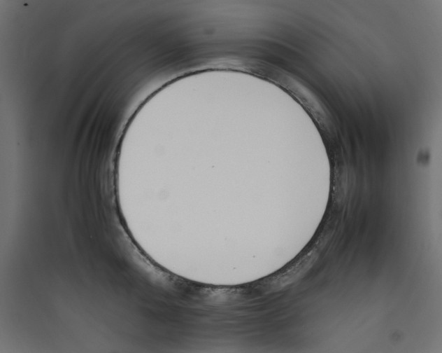 X0000089460808200707131947