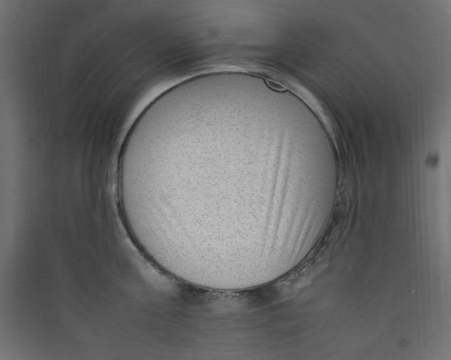 X0000089460811200707131947