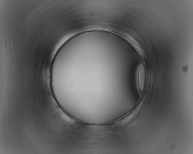 X0000089460812200707131947