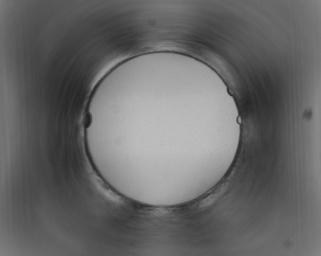 X0000089460814200707131947