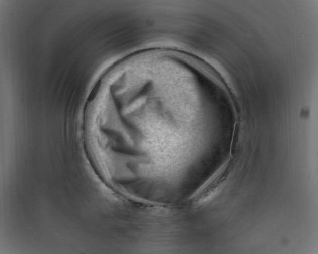 X0000089460815200707131947