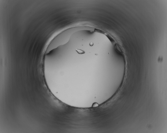 X0000089460816200707131947