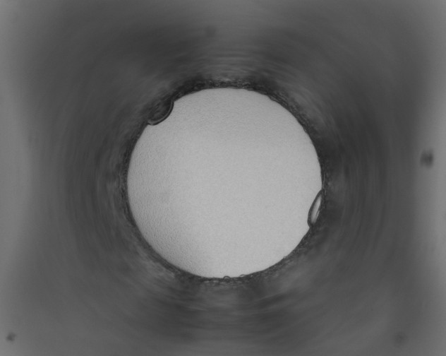 X0000089460817200707131946