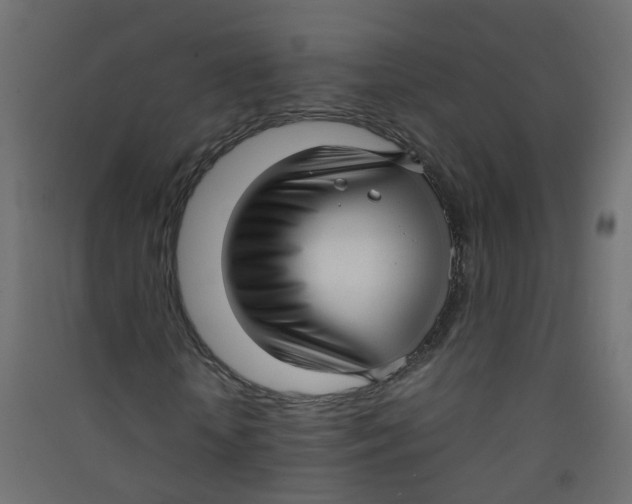 X0000089460818200707131946