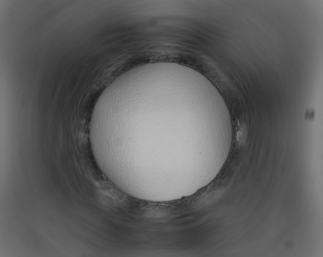 X0000089460819200707131946