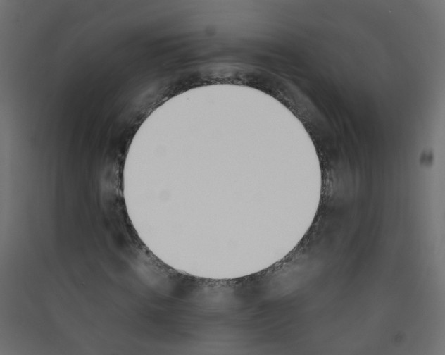 X0000089460820200707131946