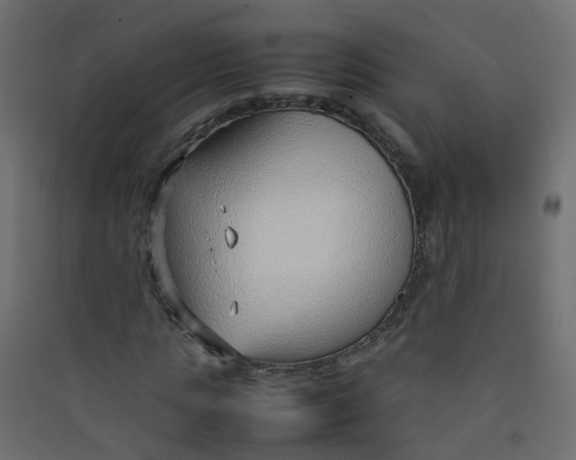 X0000089460821200707131946