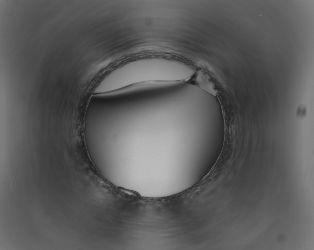 X0000089460822200707131946