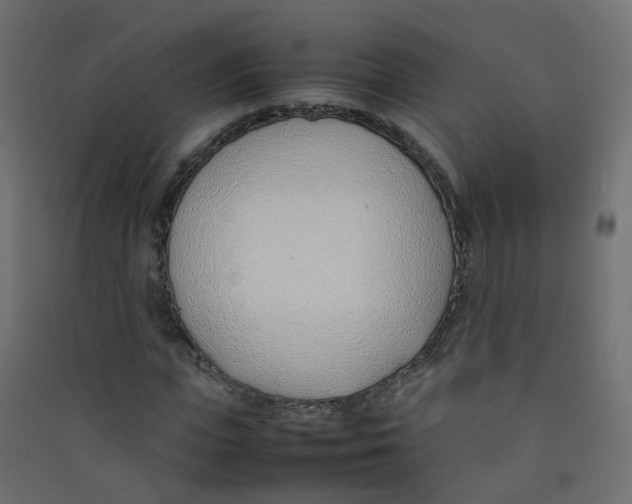 X0000089460823200707131946