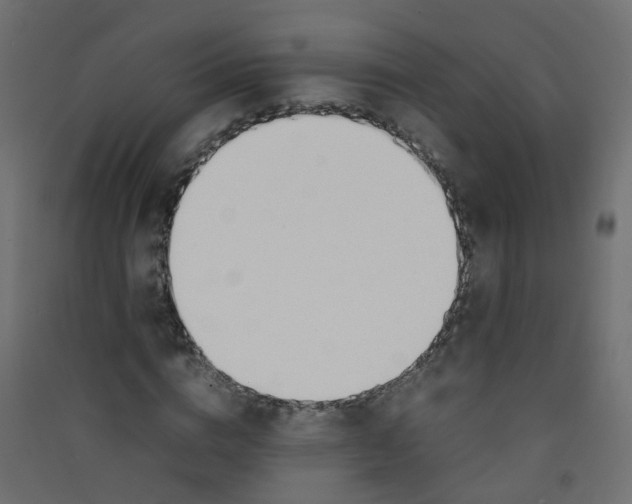 X0000089460824200707131946