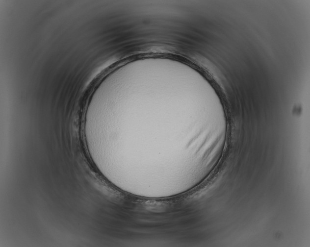 X0000089460827200707131946