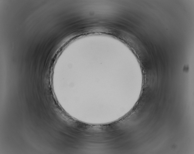 X0000089460828200707131946