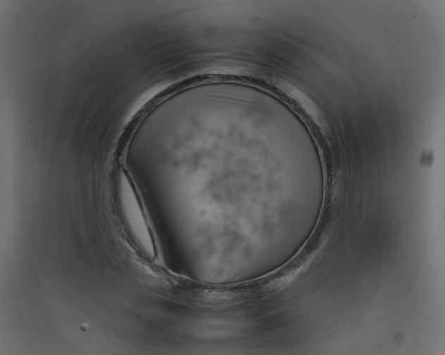 X0000089460829200707131946