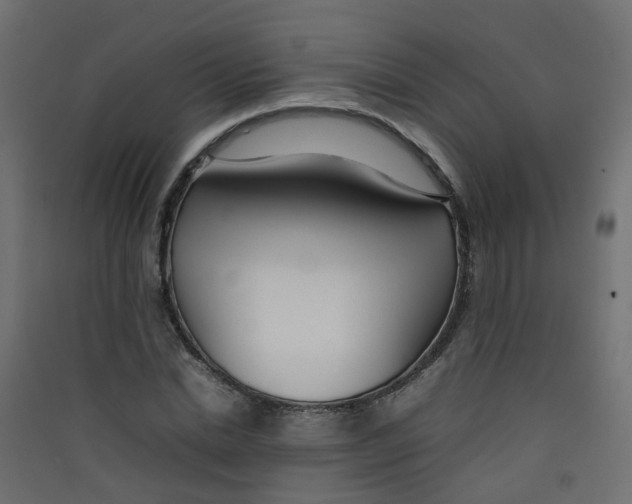 X0000089460830200707131946