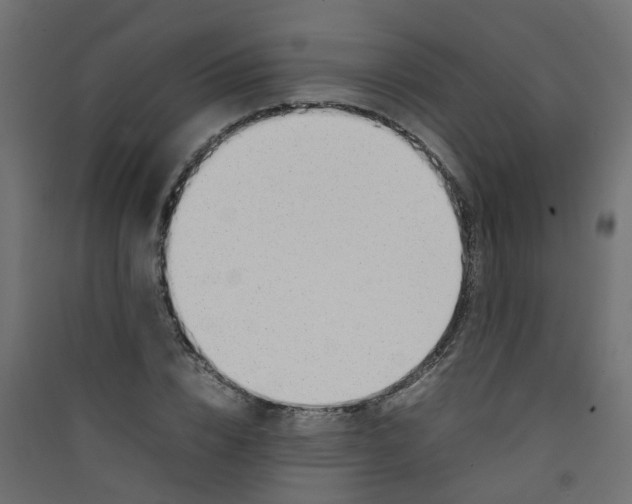 X0000089460832200707131946