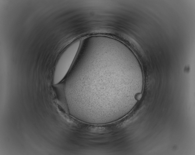 X0000089460833200707131946