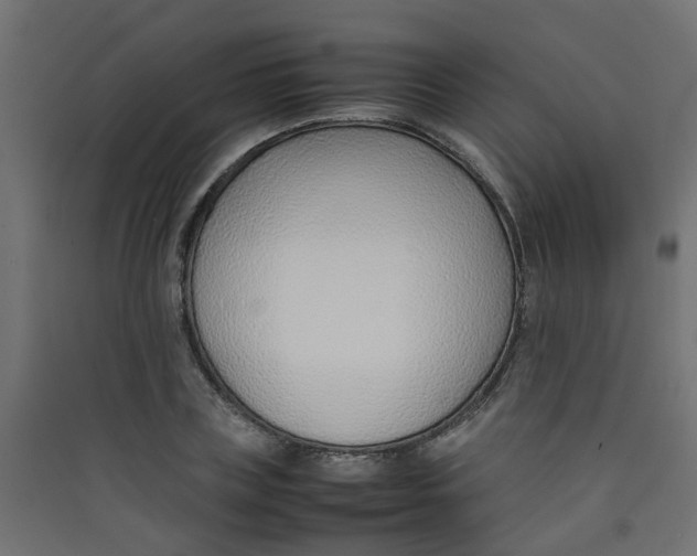 X0000089460835200707131946