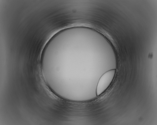 X0000089460836200707131946