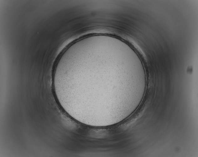 X0000089460837200707131946