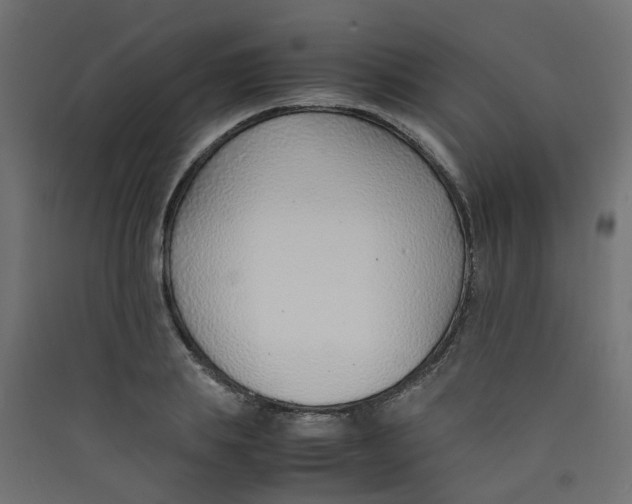 X0000089460839200707131946