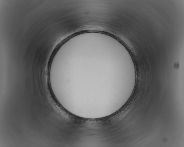 X0000089460840200707131946