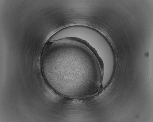 X0000089460842200707131946