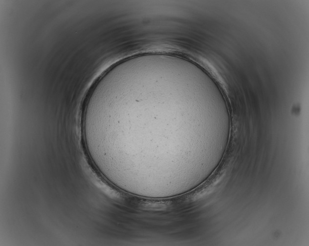 X0000089460843200707131946