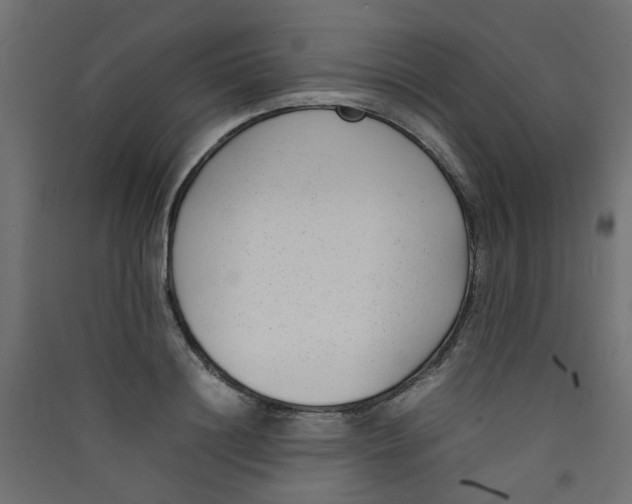 X0000089460844200707131946