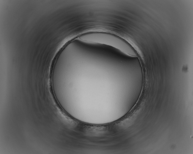 X0000089460845200707131946