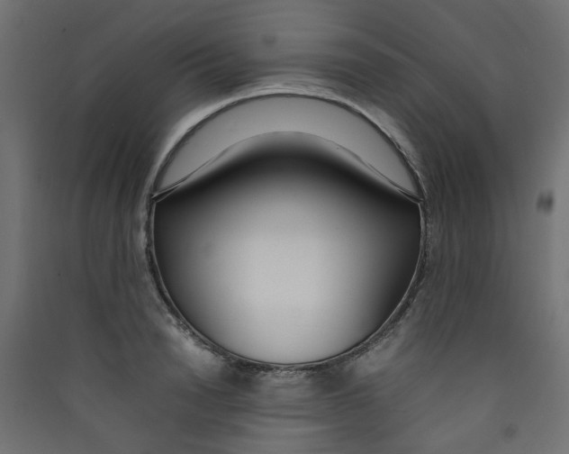 X0000089460846200707131946