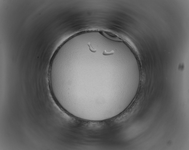 X0000089460847200707131946